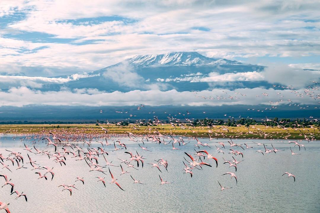 BritexTours's tweet photo. RT @NajivuniaUkenya May DECEMBER days NOT go to WASTE, make EVERY second COUNT, and DON’T let ANYONE make YOU NEGATIVE or UNHAPPY, because AS they SAY, “HAPPINESS is the ONLY thing WORTH fighting FOR in YOUR life!” #MagicalKenya #ThursdayThoughts #TakeBackYourTen #BibiliaKwaWote https://t.co/G2hWmUwfCj