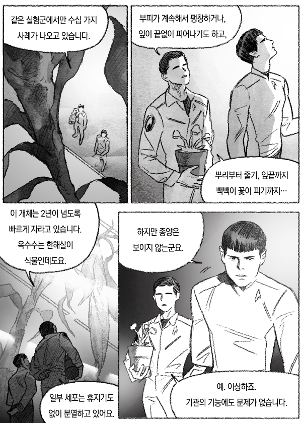 분열 (1) 