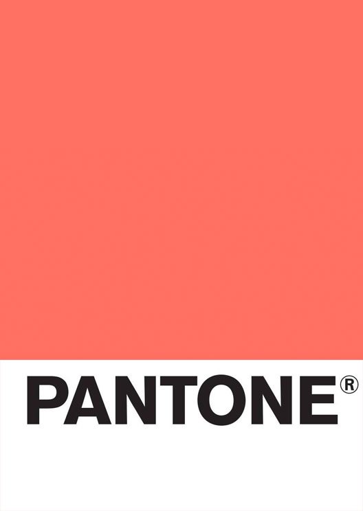 colorsstu's tweet photo. Welcome to color 2019 @pantone https://t.co/8dYyKIBoEb