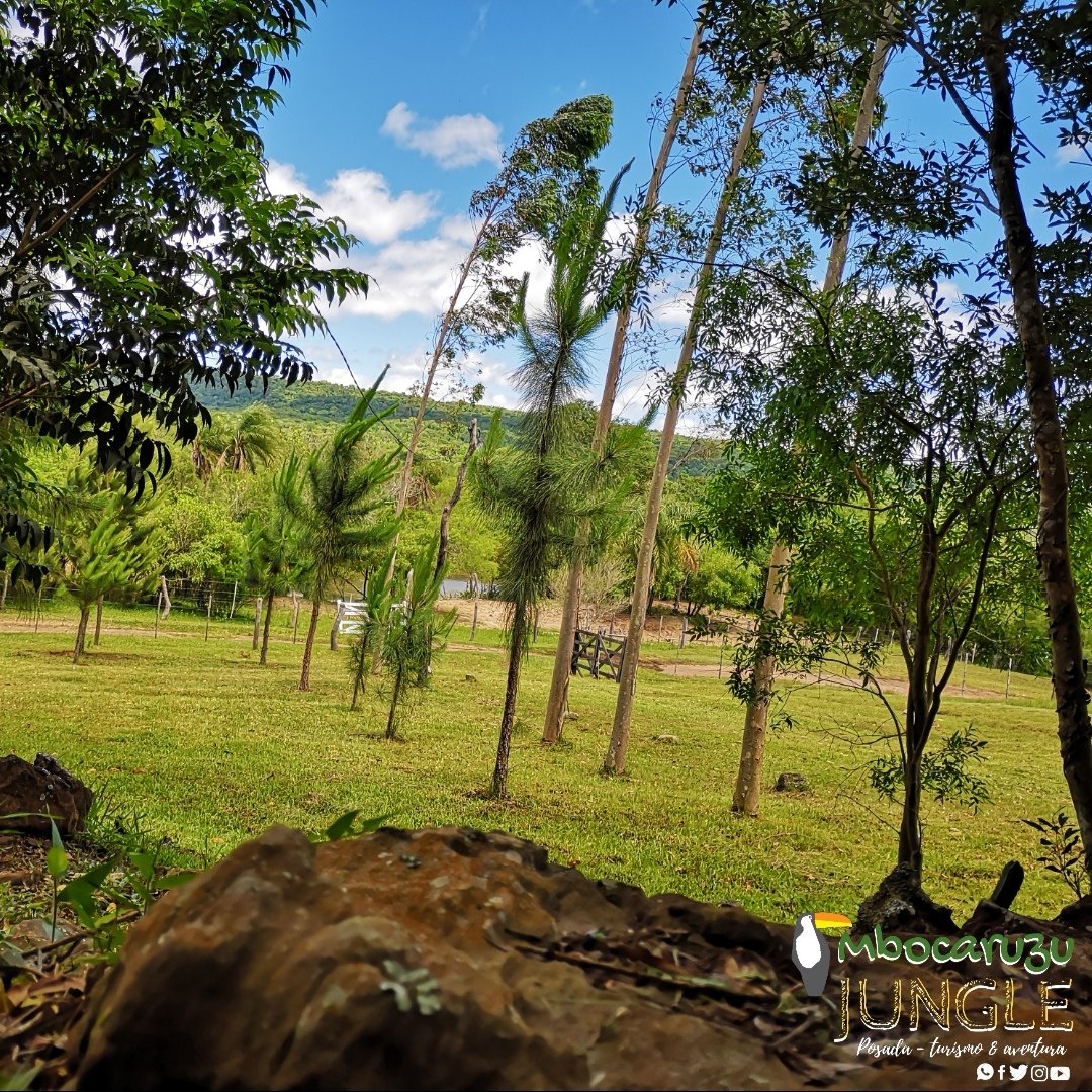 mbocaruzu's tweet photo. . 🏚️Posada turística🏞️
.
.
.🌳 #MbocaruzúJungle 🦉
.🛣️Ybycuí - Paraguay 🇵🇾
. 🏕️ Turismo & aventura 🚴♂️
. 🕶️Relax y vegetación 🏵️
. #mbocaruzu #salto1 #ybycuí #paraguay #repost #aventura #travel #vegetación #descanso #travelphotography #tourism #tourist #foto #panoramic #water https://t.co/CVy1ioEEFG
