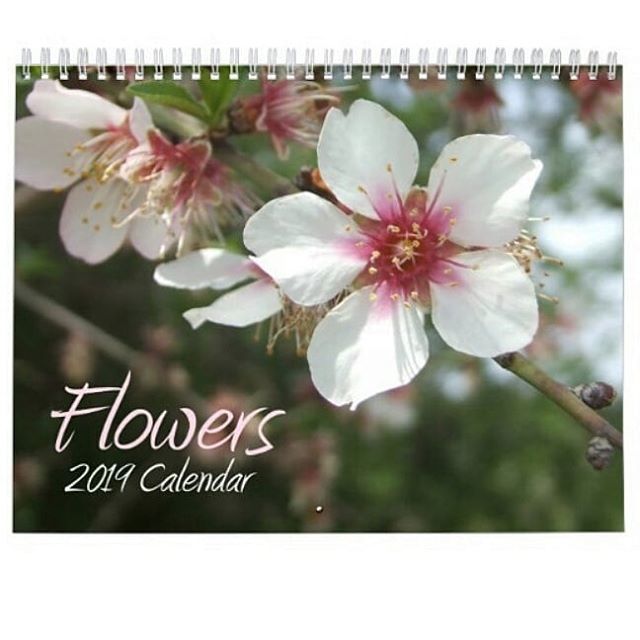 Available at www.zazzle
com/emele1
#flowercalendar #giftsforflowerlovers #flowerlovergift #2019calender ift.tt/2EjkgJq