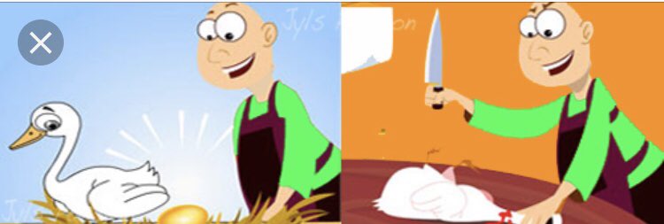 Prof Kiran Shekar tweet media