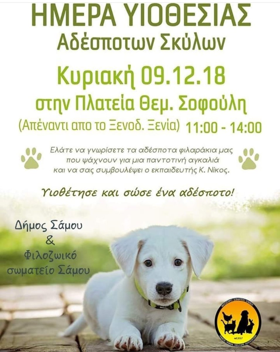 Samos Animal Welfare tweet media