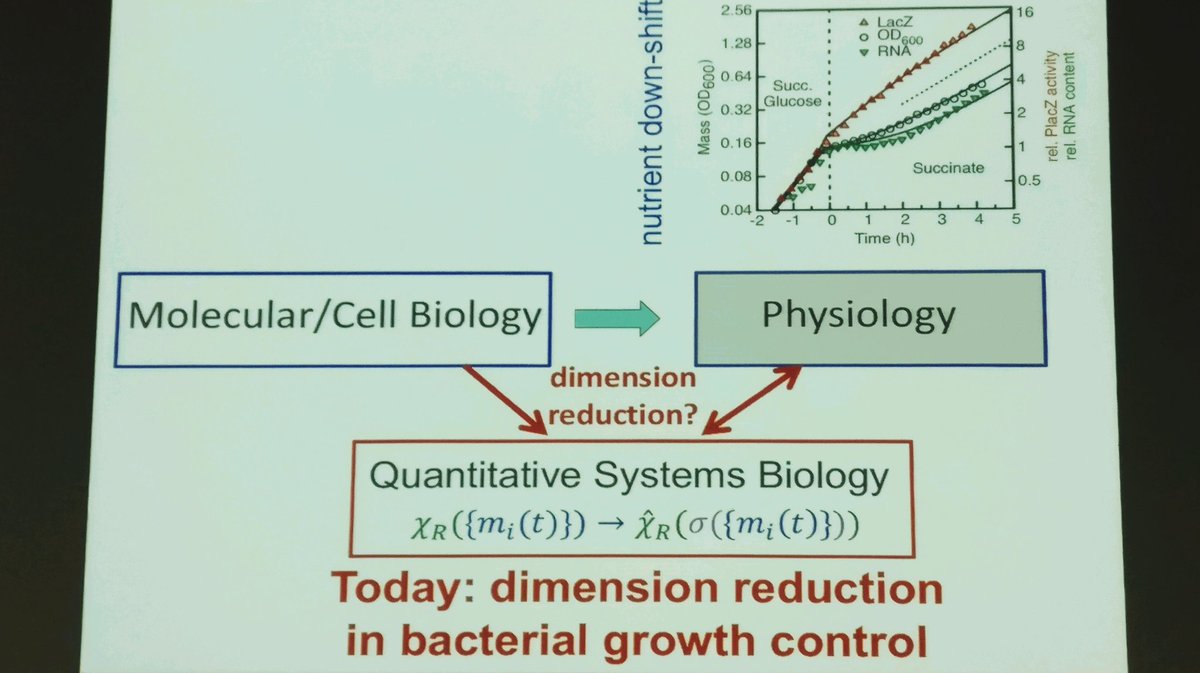 Next, he explains how the study of even the simplest of mechanisms within a #biologicalsystem, requires knowledge of a really large number of #biologicalparameters. 

Terry further talks about  #dimensionalreduction & how one could deal with an exploding number of #parameters.