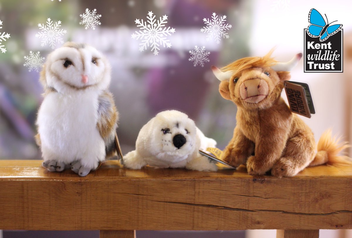 KentWildlife's tweet photo. Which cuddly toy will you bring home this #Christmas? Choose from Campbell the cow, Sammy the seal or Bailey the barn owl at https://t.co/1jKnMcW94e #AdoptASpecies https://t.co/0DbK36dqxG