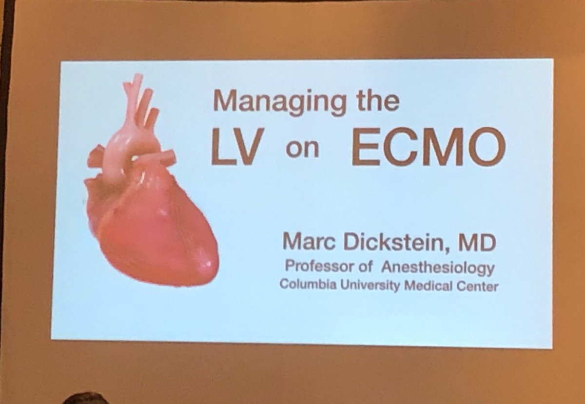 Jose Alfonso Rubio tweet media