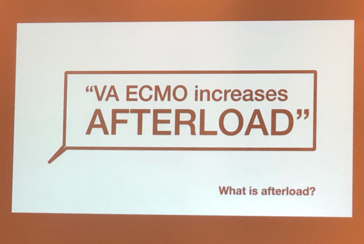 Jose Alfonso Rubio tweet media