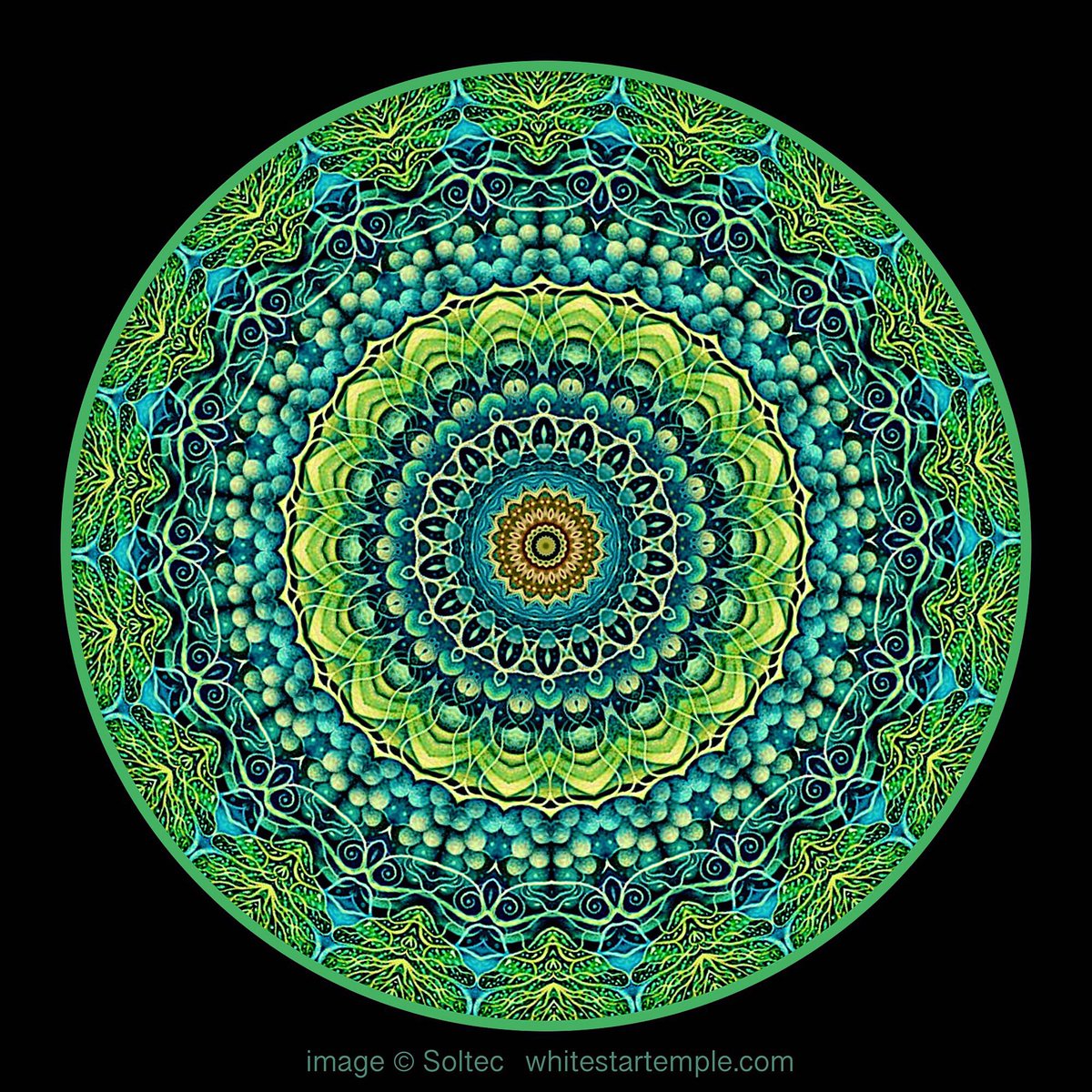WhiteStarTemple's tweet photo. Everything is #connected. If you change your #consciousness in one lifetime it changes all lifetimes, this #fractals out into the greater universe and then the multiverses. You change one #universe, you change them all #spiritual https://t.co/bFe1xxXLbS