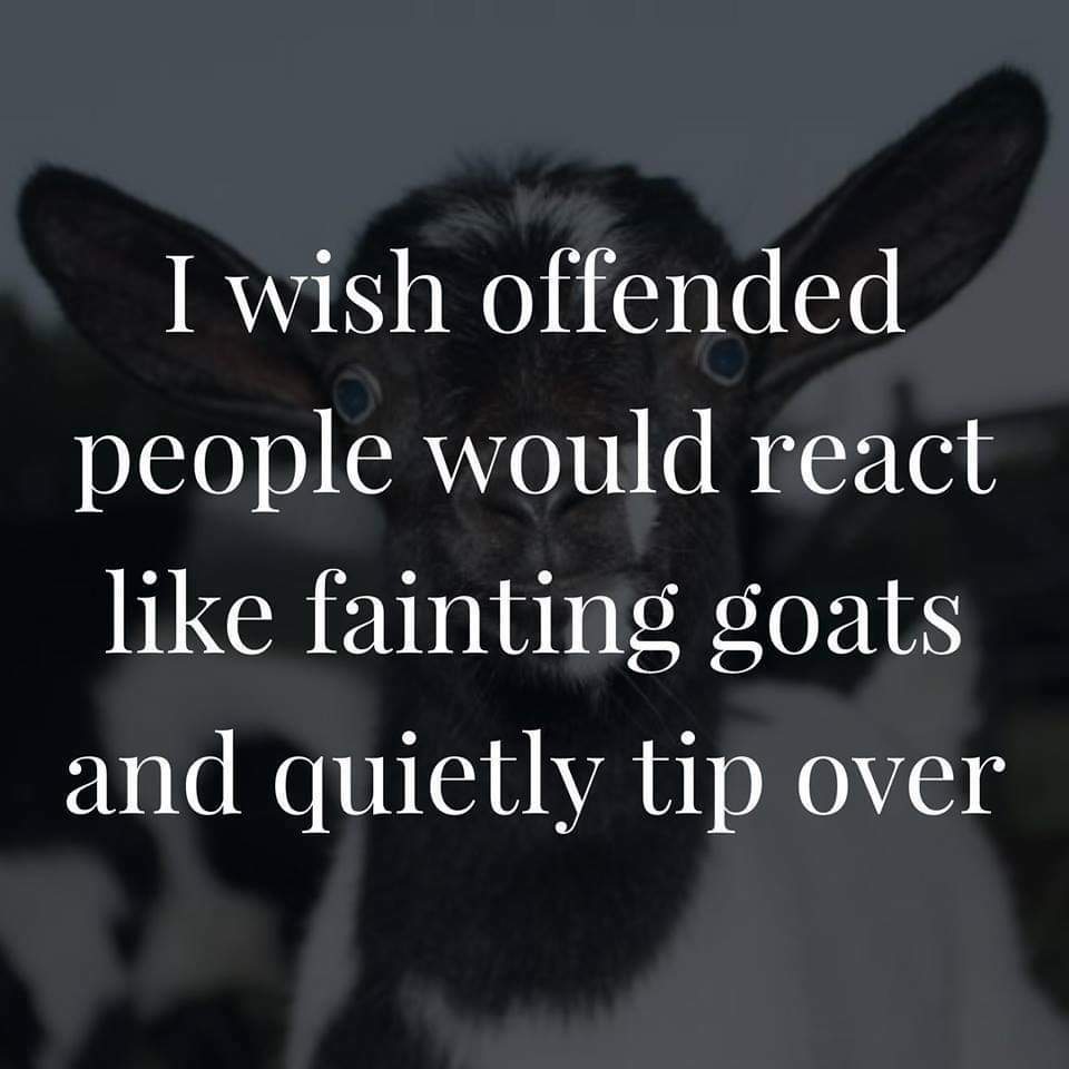 American_Jeny20's tweet photo. #RandomThoughOfTheDay
Happy Thursday Fellow Patriots
The week is almost done. Hang in there. Hope y'all have a day filled with laughter and smiles.
Do something Random, it's the thought that counts. Stand tall and Be strong... Trump is still our President. Don't forget STAY SALTY https://t.co/zSZQQ7scP2