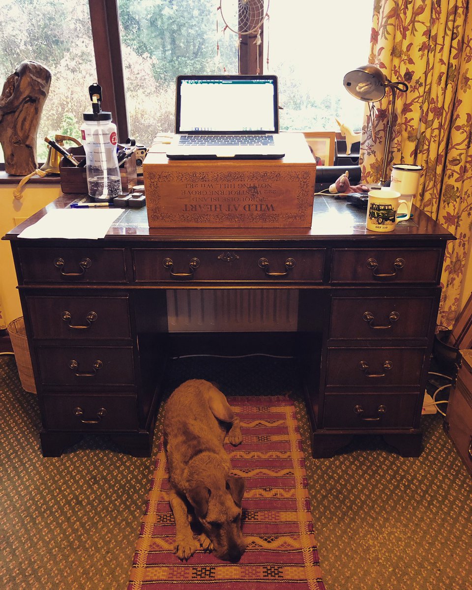 Conway_Sean's tweet photo. Trying a standing desk. Any of you got one? https://t.co/4fNuzlZKAX