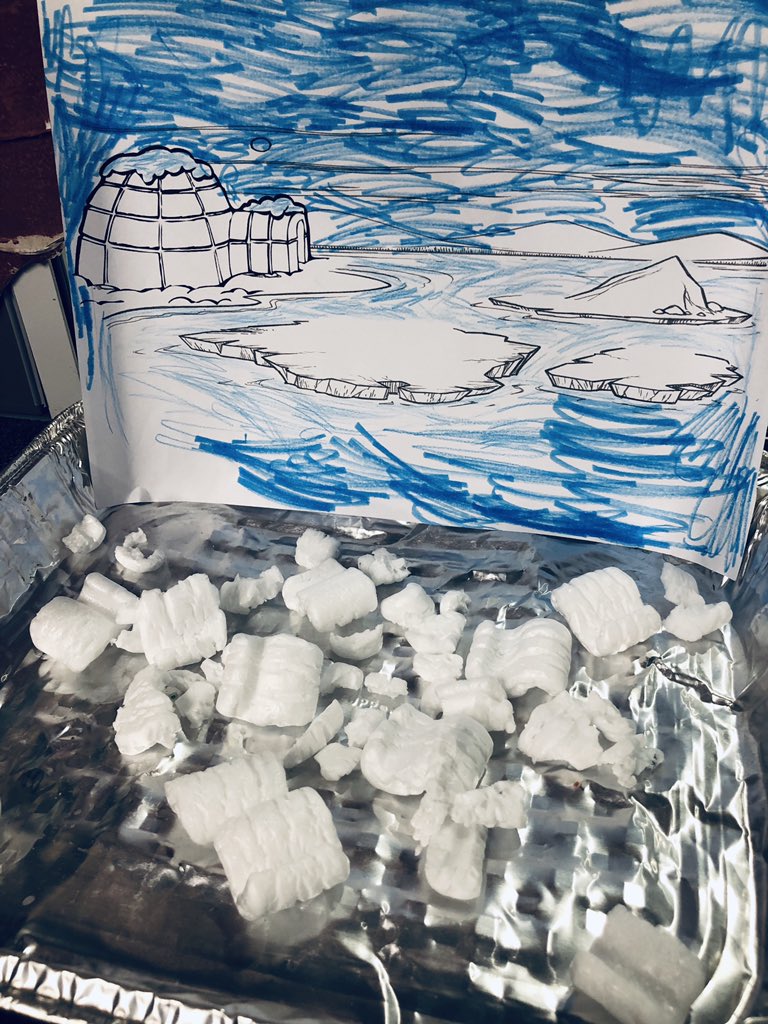 MissMandyPP's tweet photo. The best place for animals is their own natural habitat. PP Ss built mini habitats for their favourite animals. #STEMInn #CognitaWay #StamfordHK #MindandHand https://t.co/Z2XkErX12i