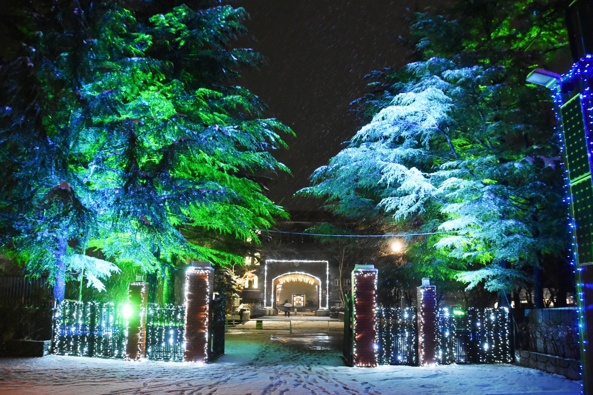 O Xrhsths 青森中央学院大学 青森中央短期大学 学園広報 Sto Twitter 大学キャンパスも雪景色 今年もこの季節がやってきました キャンパスイルミネーション 青森中央学院大学 青森中央短期大学 大学 短大 キャンパス イルミネーション 雪 冬 青森県