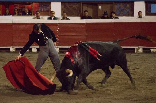 prensaElFandi's tweet photo. 🇪🇨 @dfelfandi indulta a “Retador”, nº98, de Huagrahuasi y se proclama triunfador en una noche cumbre del granadino en el Festival Virgen Esperanza de Triana.

 ¡Gracias, Ecuador!

📷: @andreaas94 .

#ElFandi2018 https://t.co/xqdViASYcb