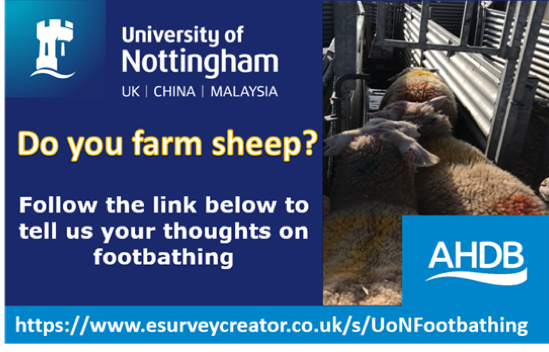 herdhealth's tweet photo. #TeamSheep - anyone got time to fill in a quick survey on footbathing for @hayleyjmarshal1 ? https://t.co/3RSW2jt68b https://t.co/dprfYneLlX