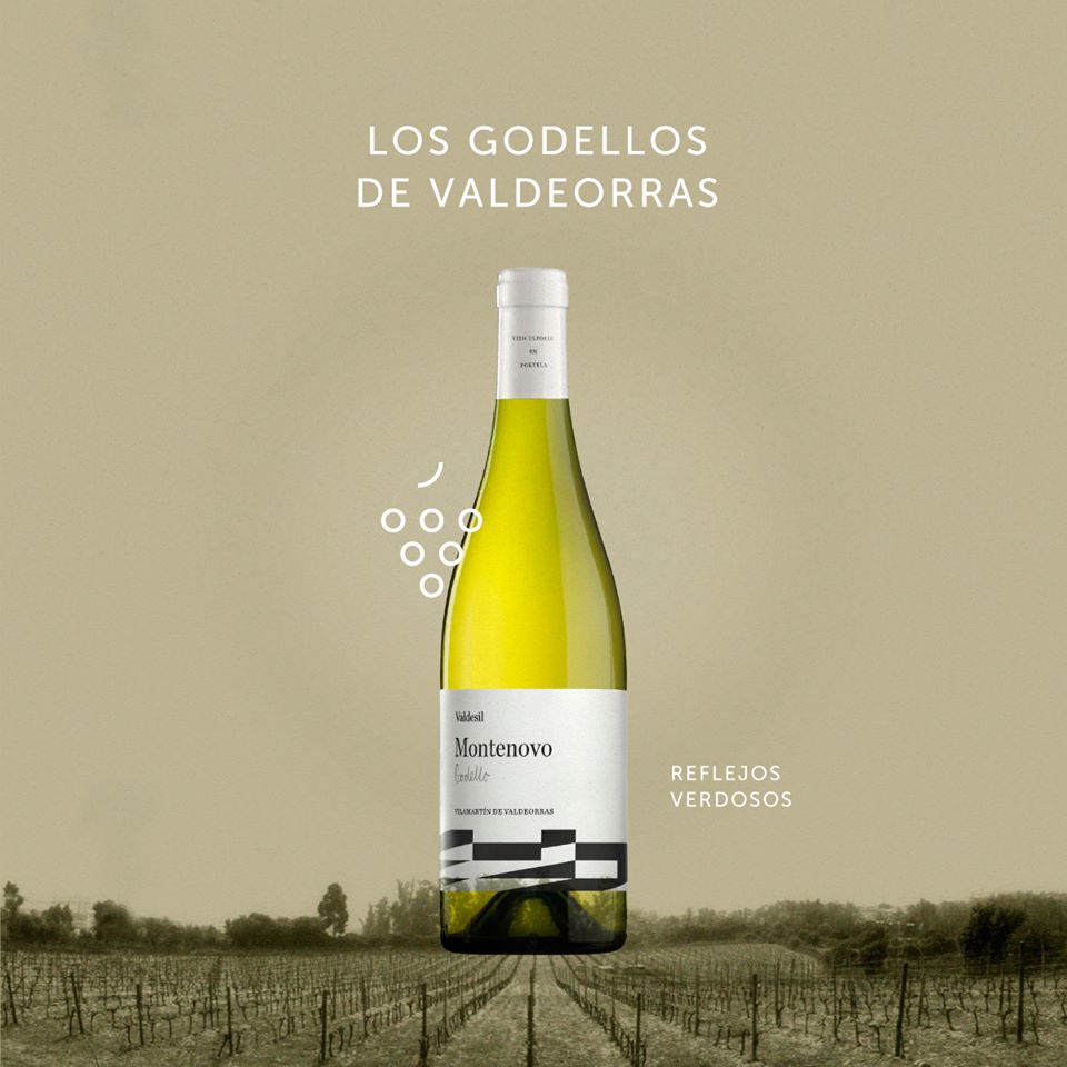 Si eres un amante del vino blanco saborea este #Montenovo Godello 2017, #Valdeorras. La combinación de suelos arenosos y granito hace que este #godello sea un vino moderno y fresco. ¿A qué esperas para probarlo?  ➡bit.ly/2FFHvir #Enolovers #blancomontenovo