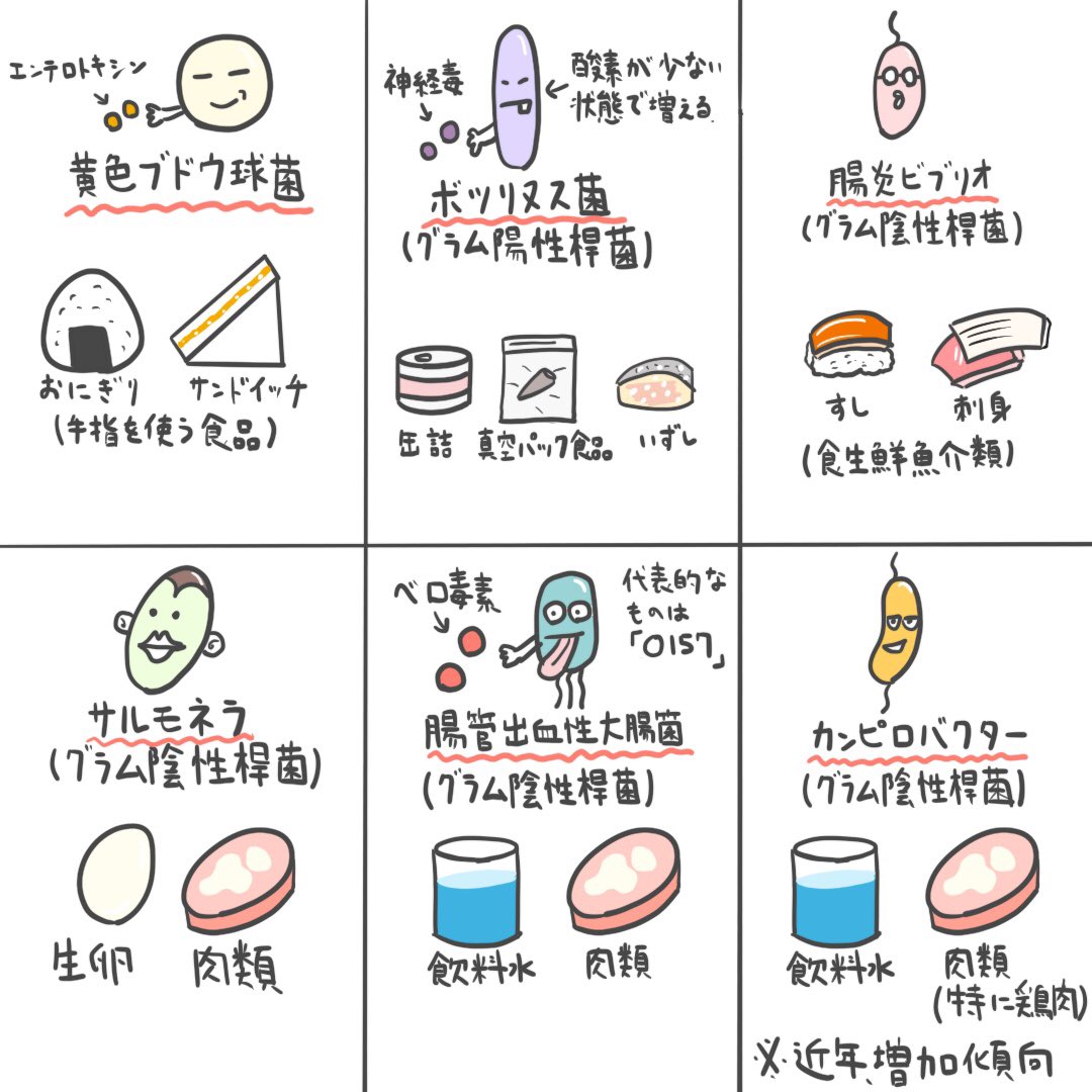 ゴロ 解剖生理イラスト A Twitter イラストで分かる 細菌性食中毒と原因食 近年 カンピロバクターの食中毒が増加している という世の中のニュースと照らし合わせることで 国試 でカンピロバクターが出題されやすいかもというアタリがつきます