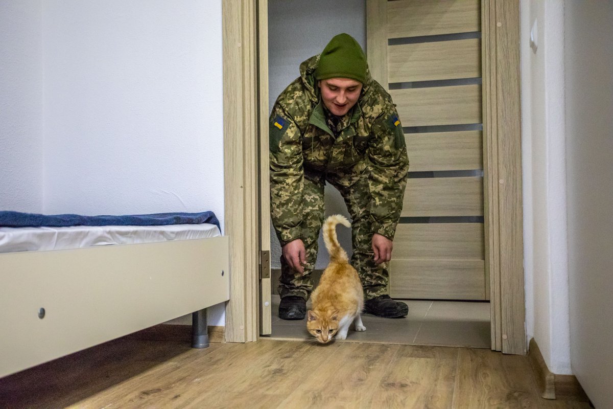 Десантно-штурмовые подразделения ВСУ передислоцируются на наиболее опасные направления российско-украинской границы - Цензор.НЕТ 9825