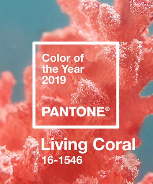 designboom's tweet photo. pantone announces 'living coral' as 2019 color of the year
https://t.co/vn8jF7ok2b https://t.co/IJyZWjbrCZ