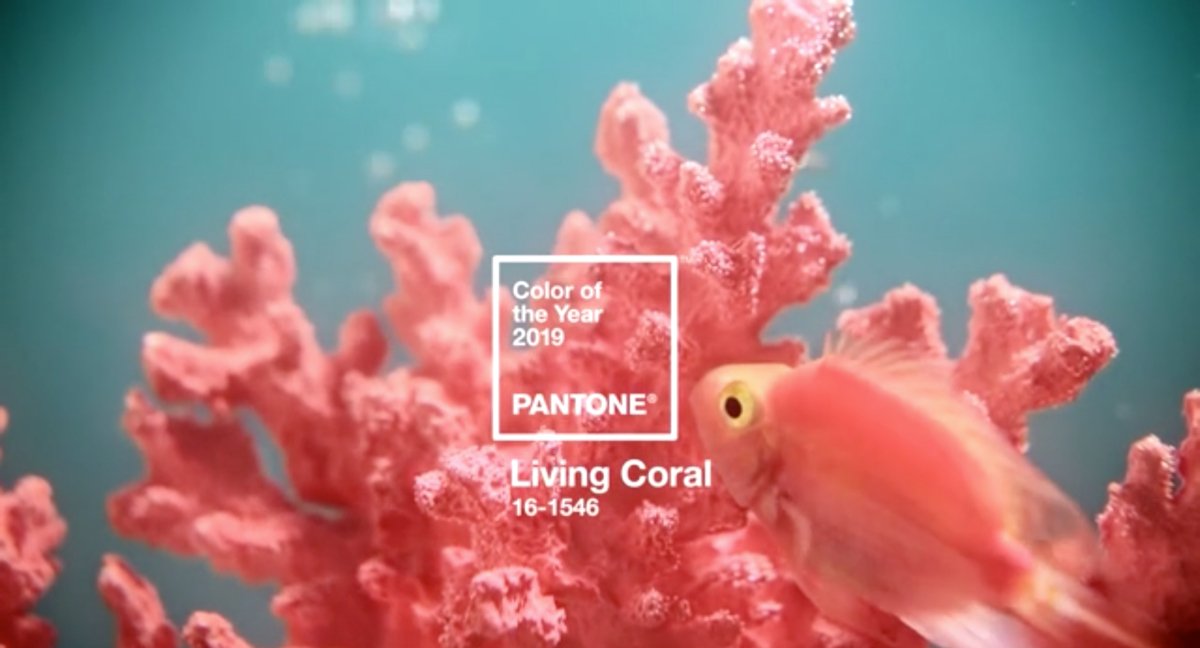 CreativeReview's tweet image. Farewell, Ultra Violet: Living Coral is Pantone&apos;s Colour of the Year for 2019 bit.ly/2BSD0wY
