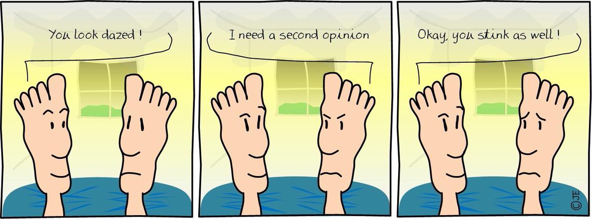LeftnRightFoot's tweet photo. when someone asks you for a second opinion
#workout #empathy #humor #nobrain #satire #lifelessons #secondopinion #laughatmypain #unfaircompetition #footforthought #nowayout #laugh #brainyquotes #memories #workhard #lame #funny #jeadvisors https://t.co/HCkUhc3TJz