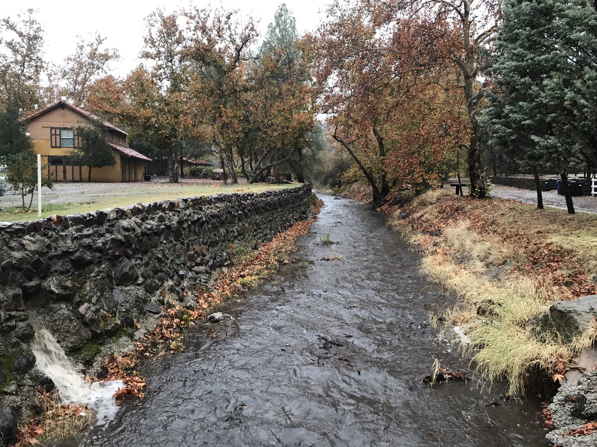 Dr_Sprinky's tweet image. Flow building in Lobo Creek/#WoolsleyFire area; water blackened by ash. Rainfall about 75 mm thus far in storm. #CAwx