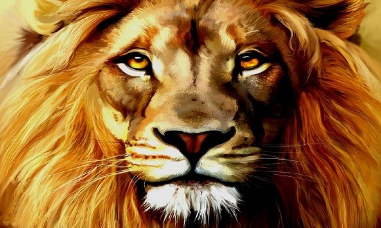toot_333333's tweet photo. الكبر الاتحاد

الاسد الاتحاد

النمر الاتحاد

بث مباشر

لعملاق كرة القدم العربية الاتحاد 

يوتيوب   https://t.co/HAsk7ucBW2  

اون لاين   https://t.co/HAsk7ucBW2  

#الاتَحًاد_الَفيصًلي https://t.co/6N0LptHUC6