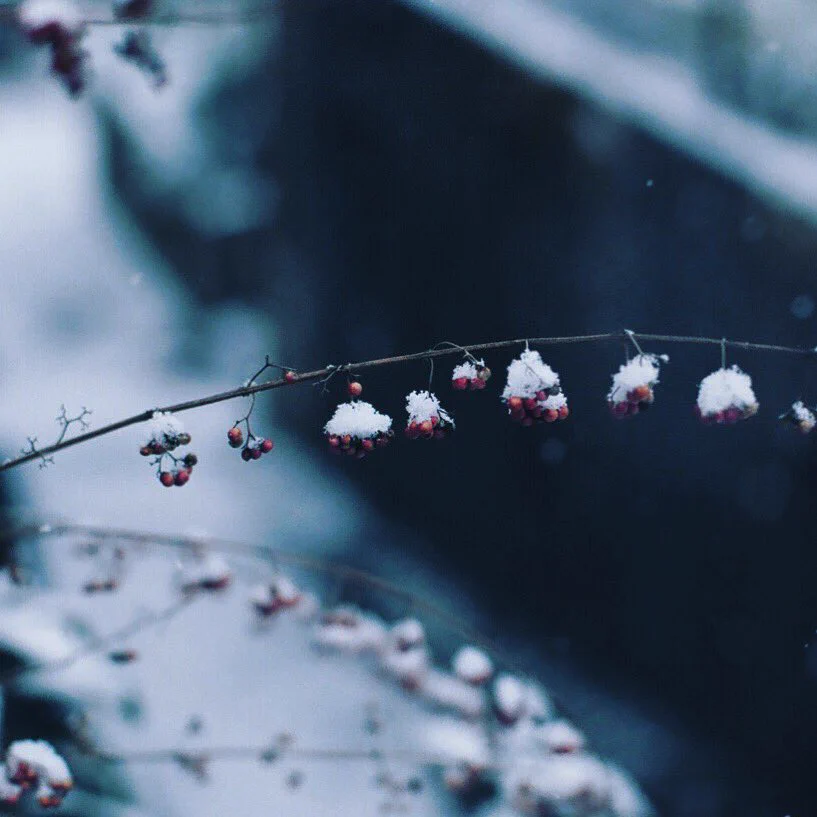 冬の澄んだ空気感がとても素敵。寒いけど、やっぱり冬は綺麗だな。