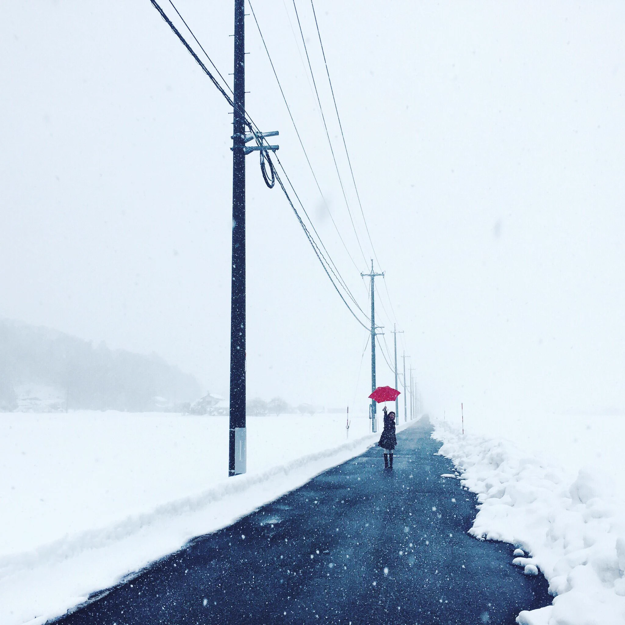 冬の澄んだ空気感がとても素敵。寒いけど、やっぱり冬は綺麗だな。