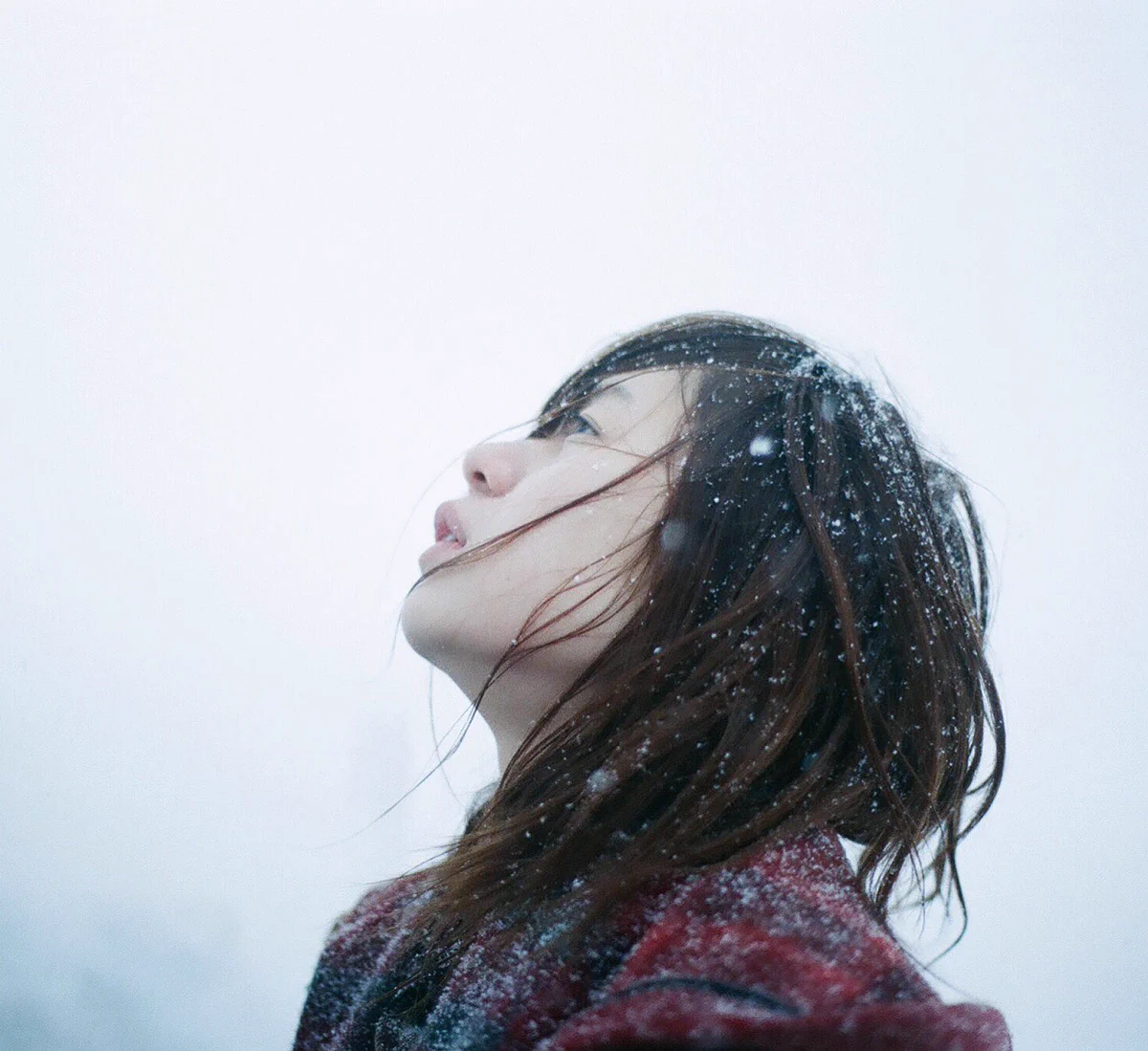 冬の澄んだ空気感がとても素敵。寒いけど、やっぱり冬は綺麗だな。