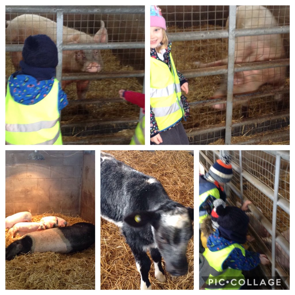 WhitegateAcorns tweet media