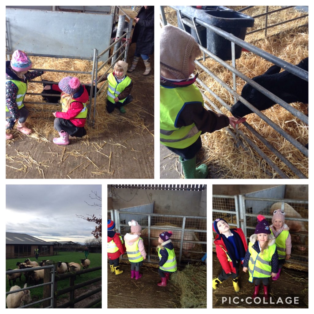 WhitegateAcorns tweet media