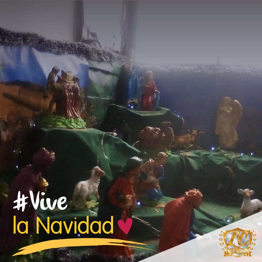 hostalacumbre's tweet photo. El espíritu navideño ya se tomó los espacios de Hostal La Cumbre.
Haz tu reserva y disfruta de una navidad como en casa. ¡Te esperamos!
📲 310 7309679
#NavidadEnLaCumbre #Hostal #ReservaLaFelicidad #DisfrutaLaNavidad https://t.co/absJBYXpC2