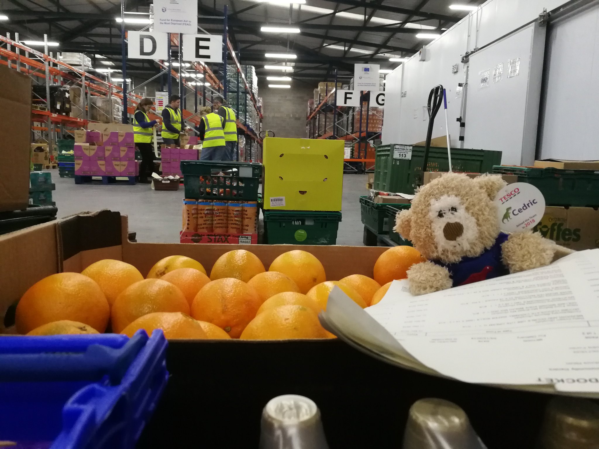 tesco teddy bear cedric for sale