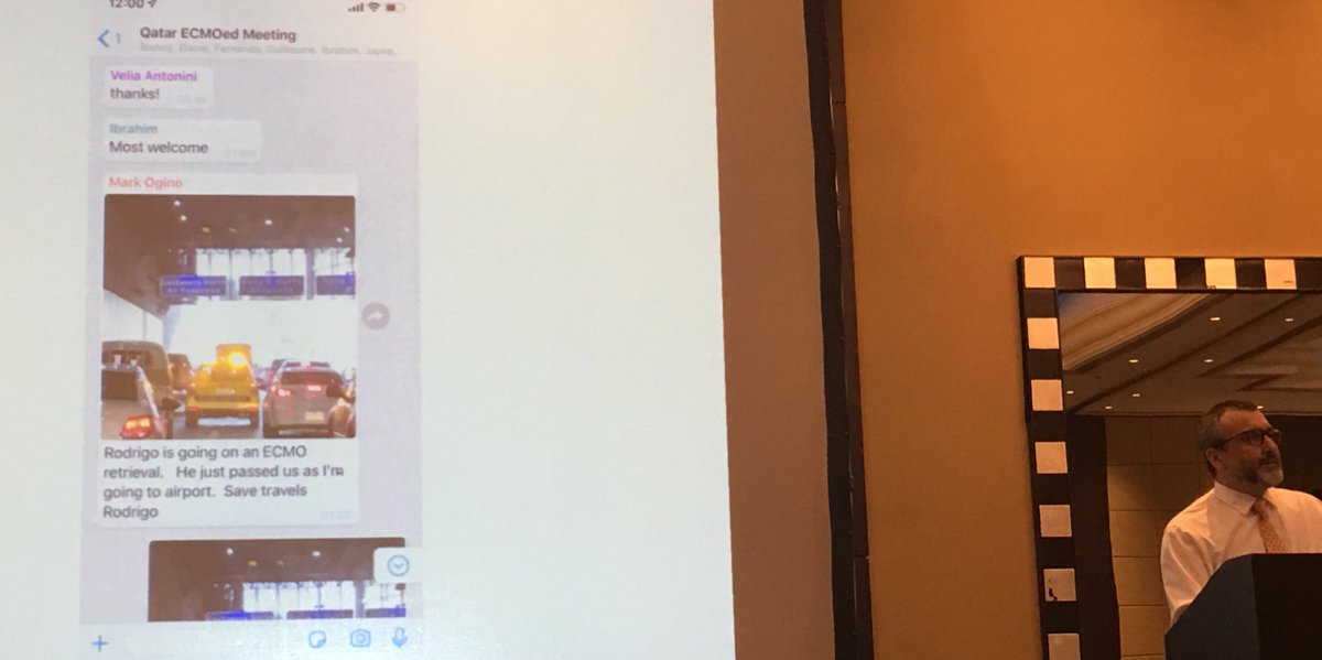 M Velia Antonini tweet media