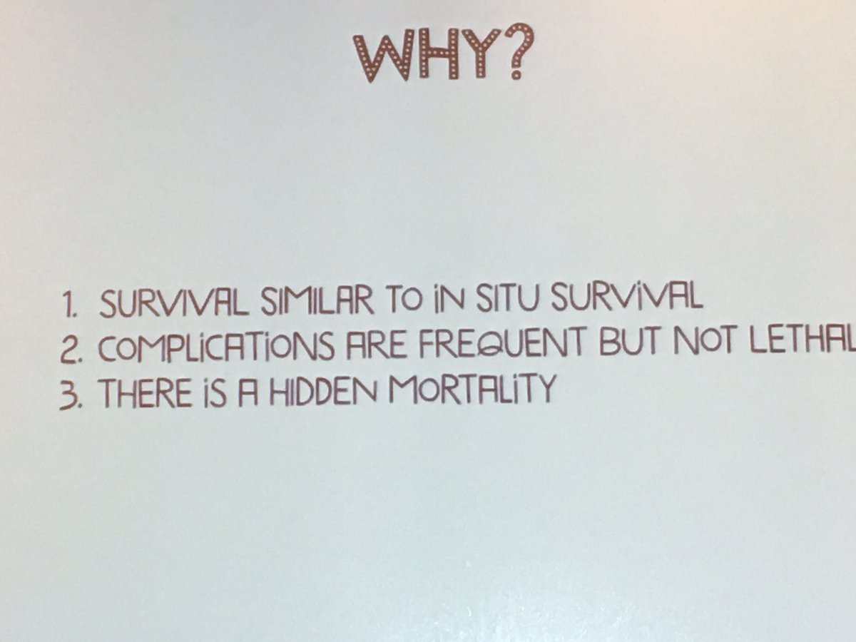 M Velia Antonini tweet media