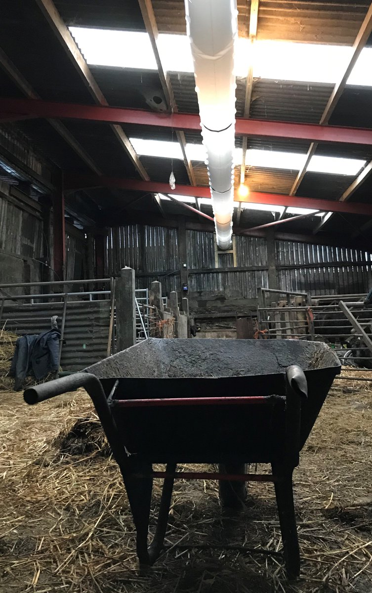 1803Ltd's tweet image. Another @HydorLtd #HVSS #Ventilation #SockSystem up and running for  a customer in Cornwall. #HappyCalves #WelfareThroughAir #cow #BackBritishFarming