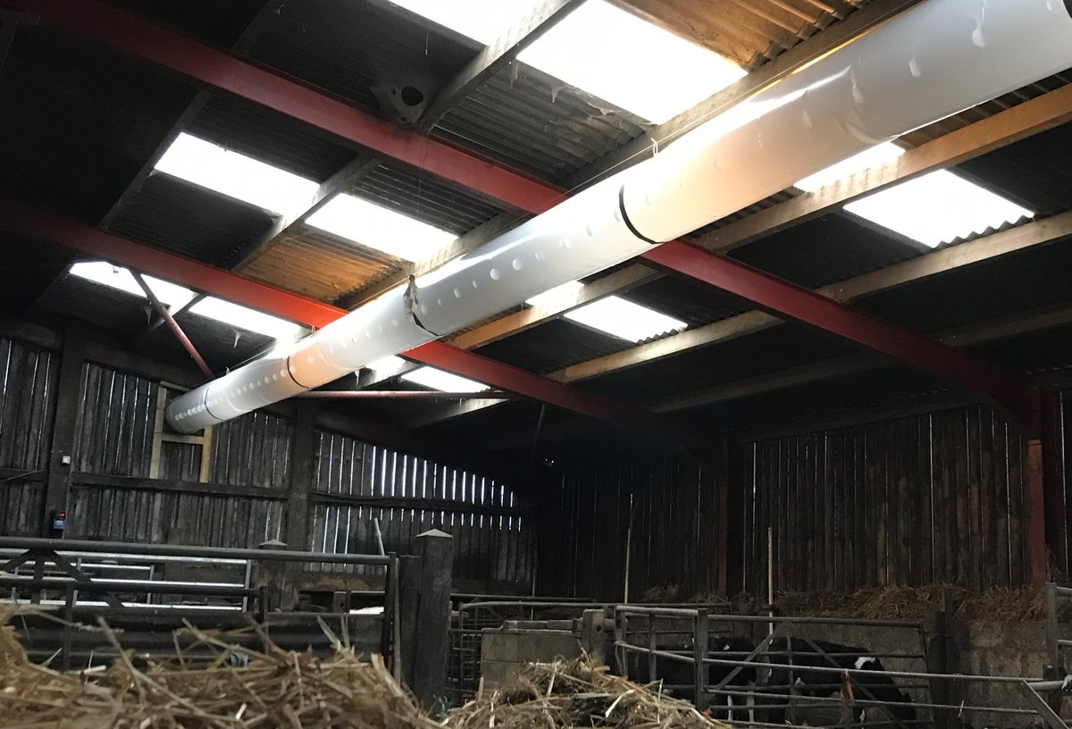 1803Ltd's tweet image. Another @HydorLtd #HVSS #Ventilation #SockSystem up and running for  a customer in Cornwall. #HappyCalves #WelfareThroughAir #cow #BackBritishFarming