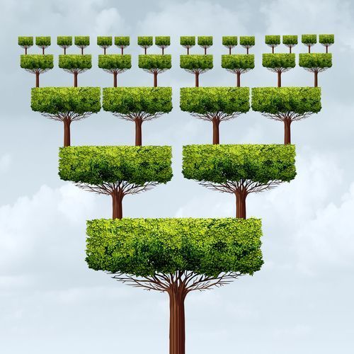 globalfranmag's tweet image. The Growth Of The Multi-Unit Franchise Owner buff.ly/2zTY6sO #franchising #globalfranchising #multiunitfranchising #globalfranchising