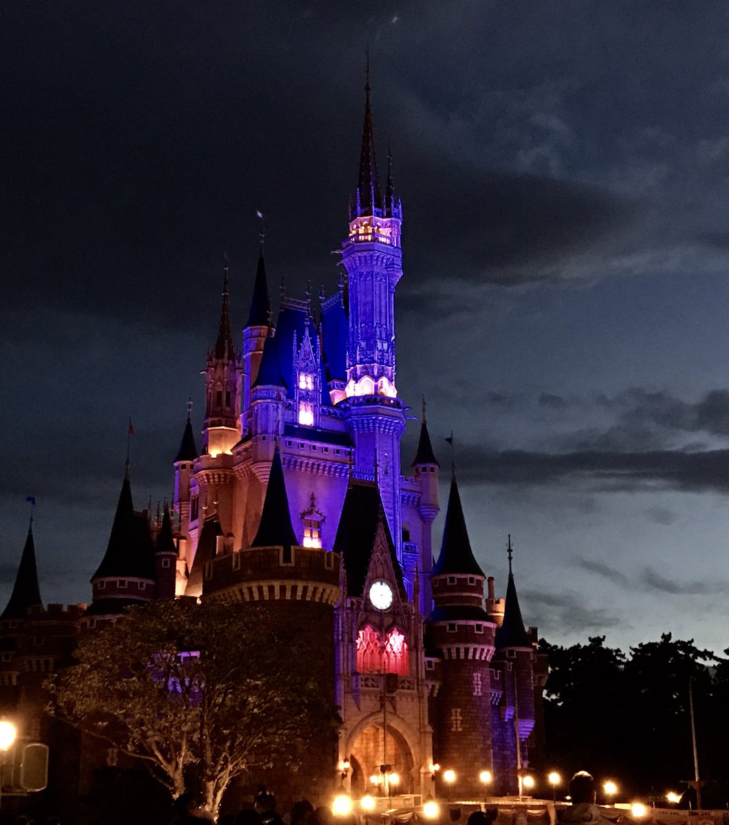 凪飼い お絵描き おとといディズニーで撮った他の写真も綺麗なので良かったら見てください シンデレラ城と薔薇の写真が特にお気に入り