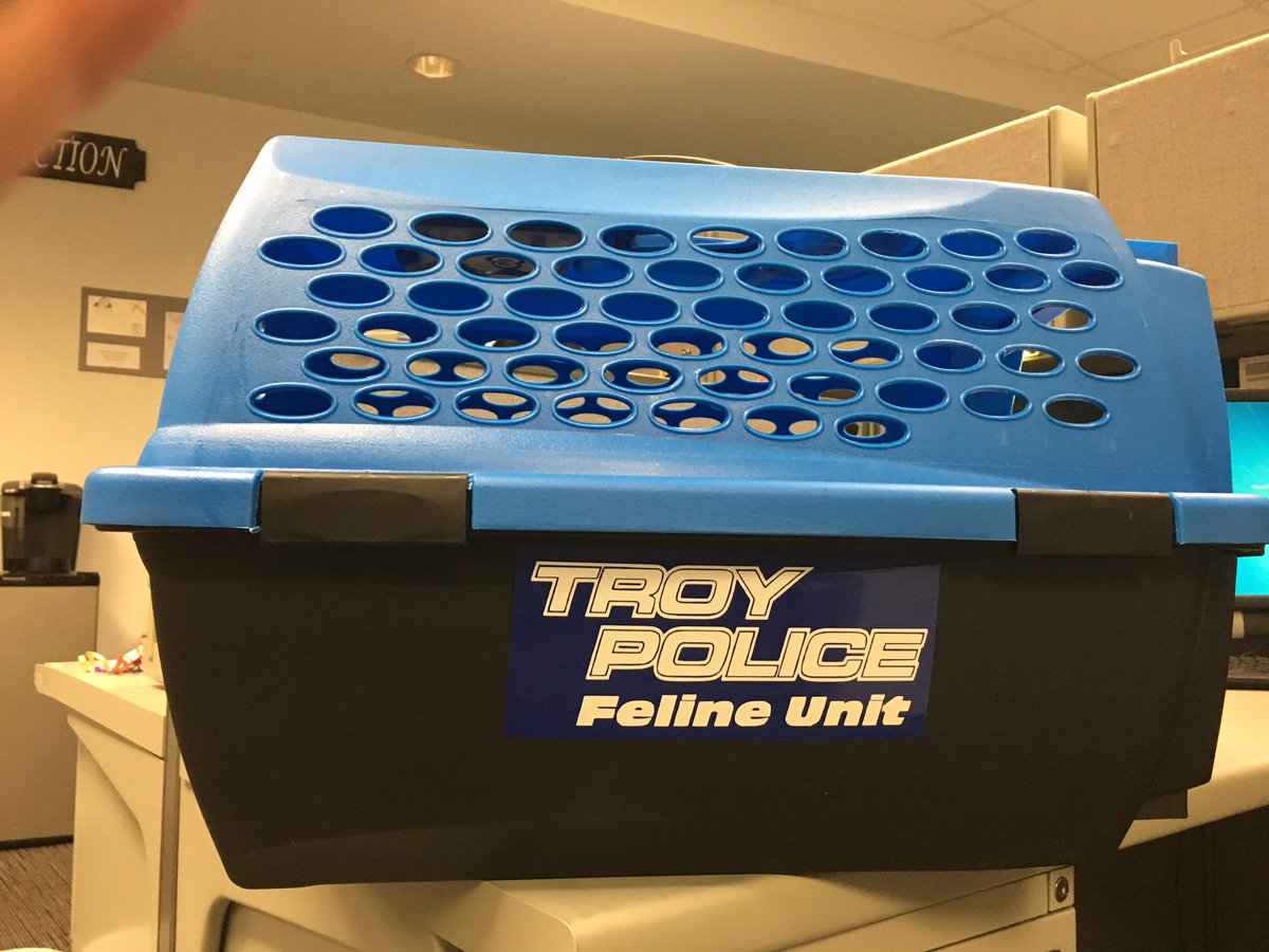TroyMI_Police's tweet image. My new ride. Signed, Pawfficer Donut #PoliceCat 😺