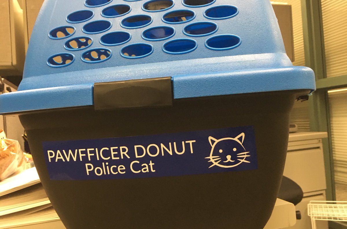 TroyMI_Police's tweet image. My new ride. Signed, Pawfficer Donut #PoliceCat 😺