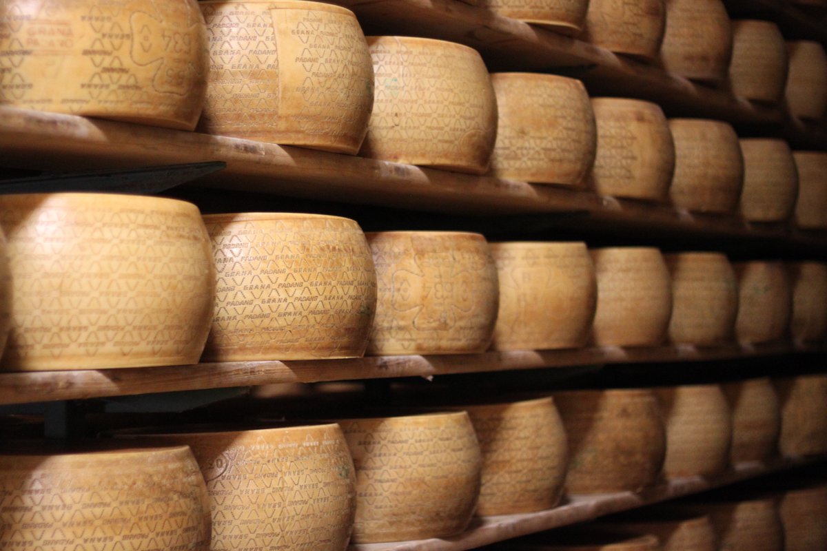 #TBT to our trip to Northern Italy &amp; a visit to a @granapadano factory to learn about the production processes &amp; PDO status. These warehouses are used to age the cheese, for Grana Padano Riserva these cheeses are aged for a minimum of 20 months. #granapadano #italianproducts