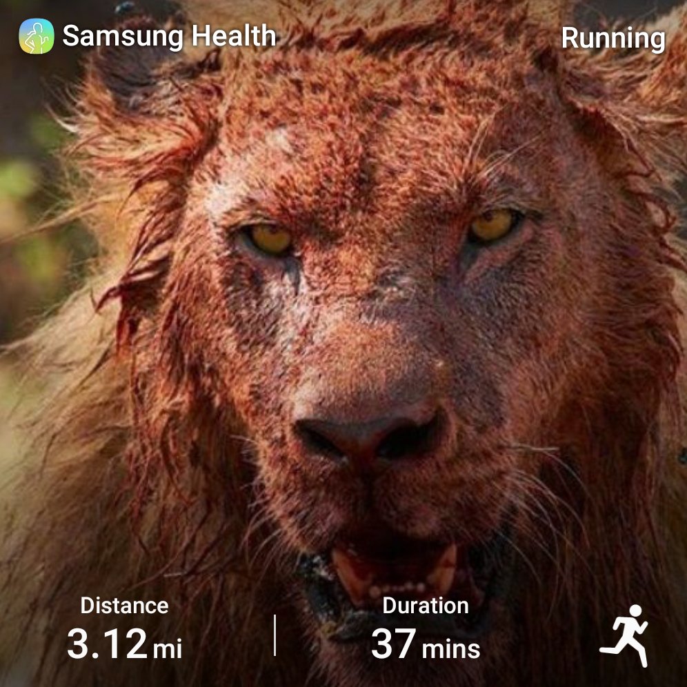 IamJohnGodson's tweet photo. There's a lot of #blood #sweat and #guts between #dreams and #success #dailyworkout🏋️♀️💪#seenonmyrun #doittoday #lifestyle #3mileaday #slcrunner #runnersbody #runners #fatburning #fitnessmotivation #getfit4life #fitfam #fitnessaddict #getoutside #bigdreams #lionorder🦁👑💯 https://t.co/Cdlp1mBdWO