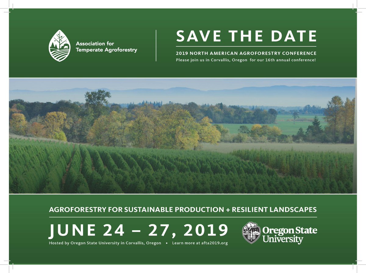 Prof. Maren Oelbermann (@oelbermannmaren) on Twitter photo 