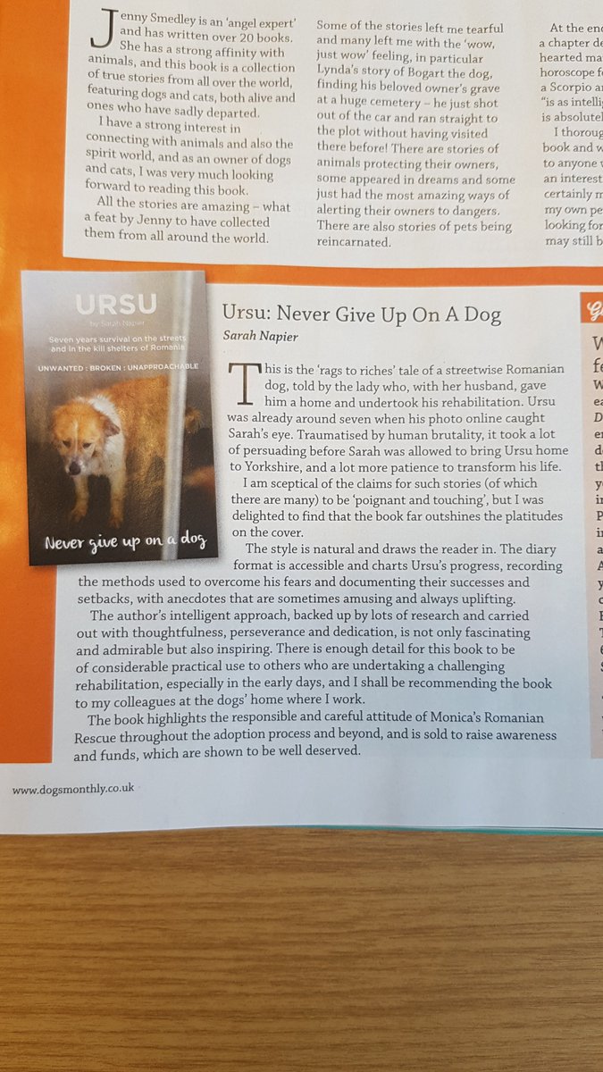 Ursu.never.give.up.on.a.dog tweet media