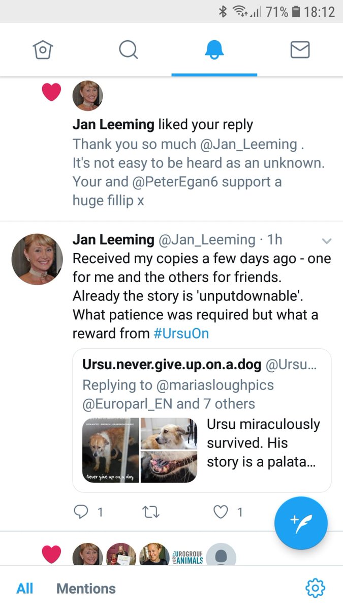 Ursu.never.give.up.on.a.dog tweet media