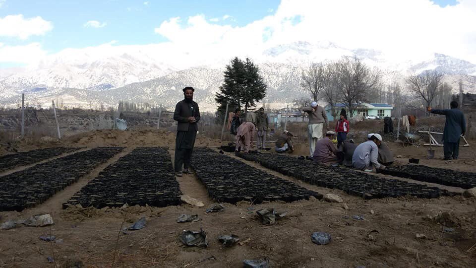 Paktia PGO Press-د پکتیا ولایت مقام رسنیز دفتر tweet media