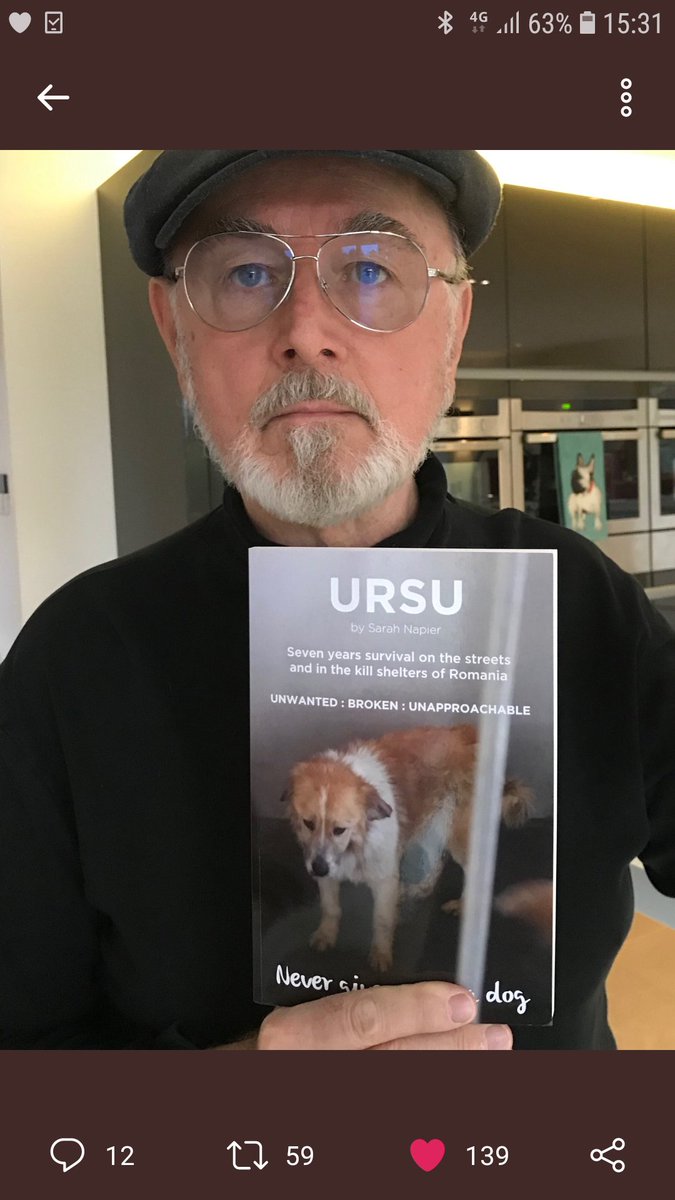 Ursu.never.give.up.on.a.dog tweet media