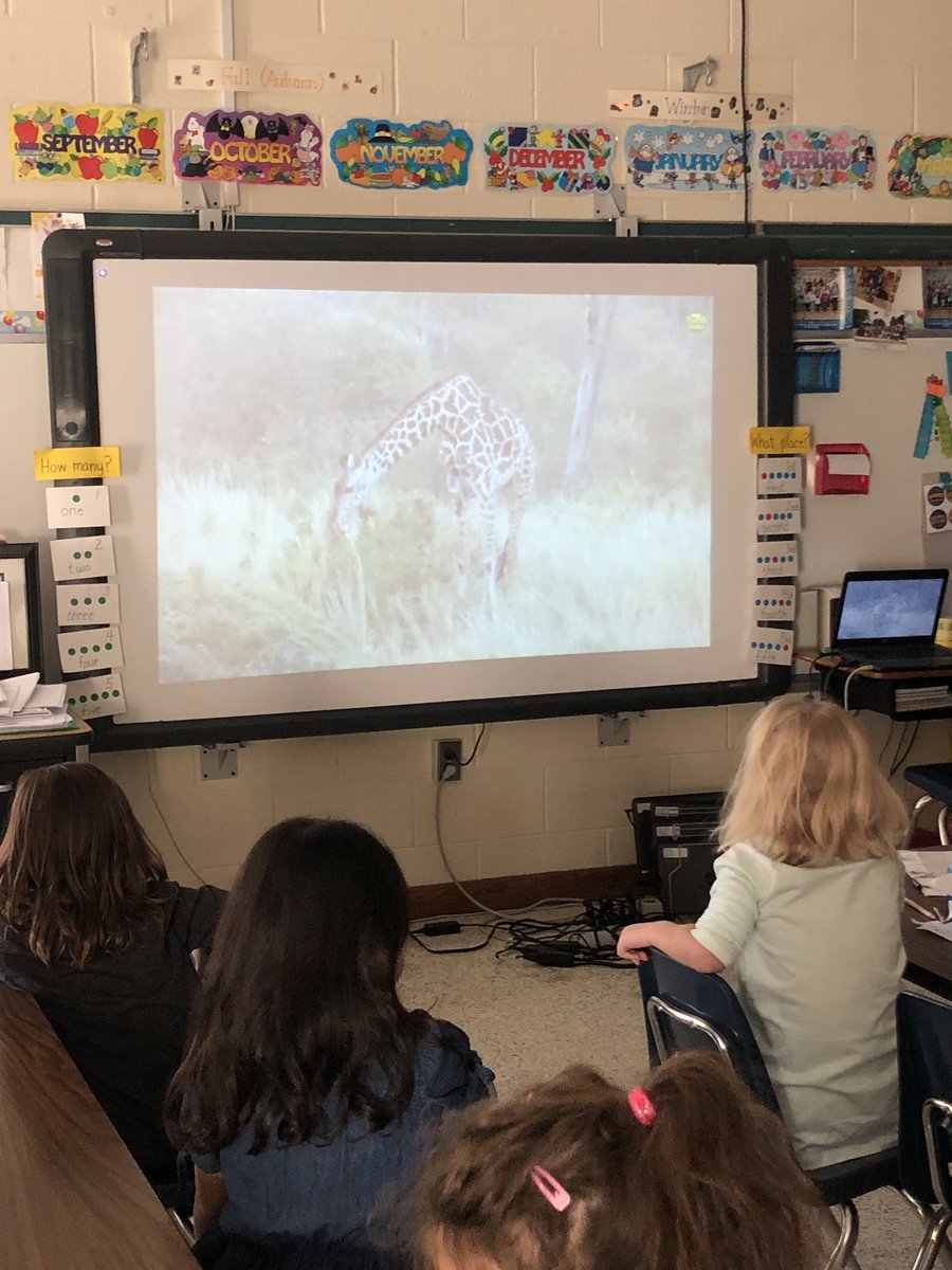 VBTechTeacher's tweet photo. Ss @VBFairfieldES traveling to Kenya this morning to learn about land habits and animals with @WildEarth safari #WeAreVBSchools #vbschools #communication #collaboration #5cs #studentvoice https://t.co/ex5lmHK2Wo