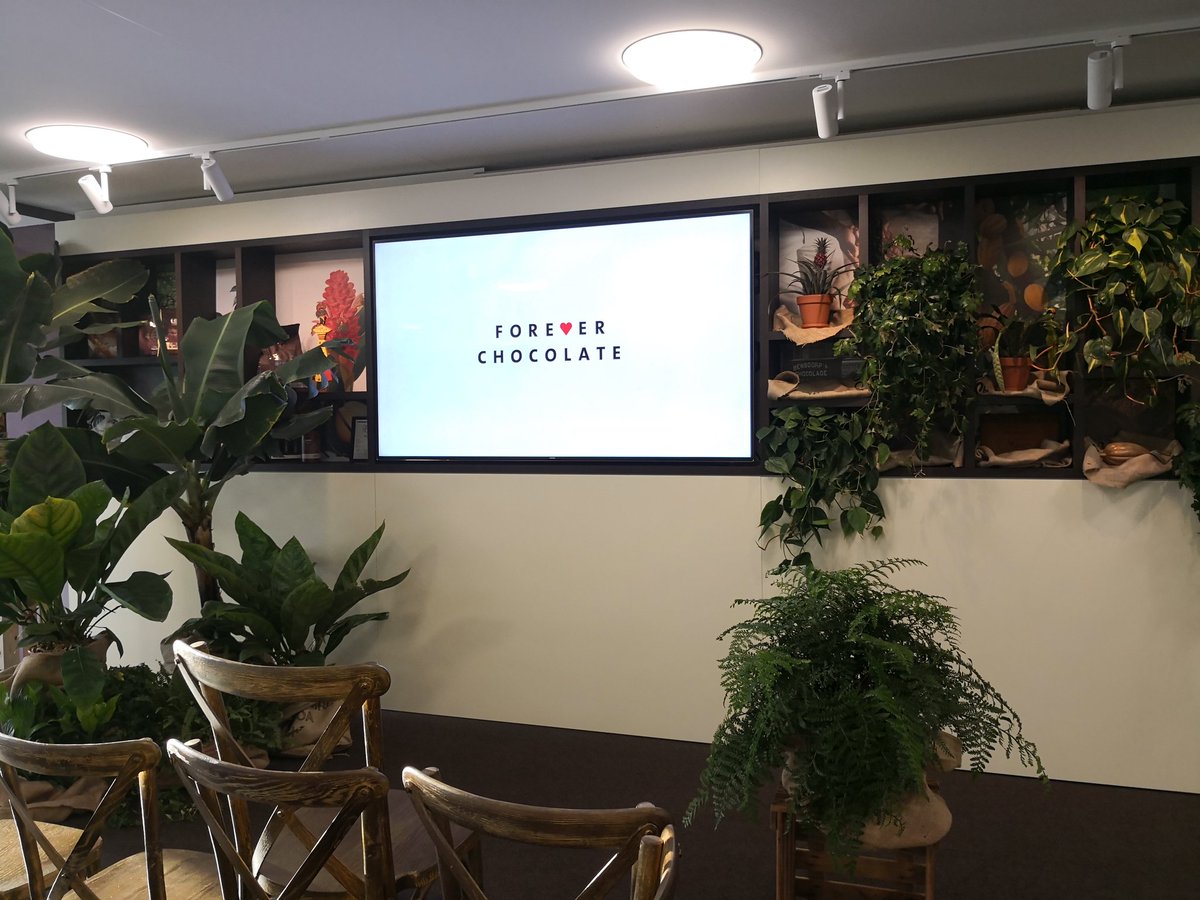Why our #Headquarters are so #jungle style today? Well, we just published our #ForeverChocolate Progress Report 2017/18 today & launched our internal #ForeverChocolate employee engagement program #SeedsForChange - check out this website for more details: https://forever-chocolate.barry-callebaut.com/
